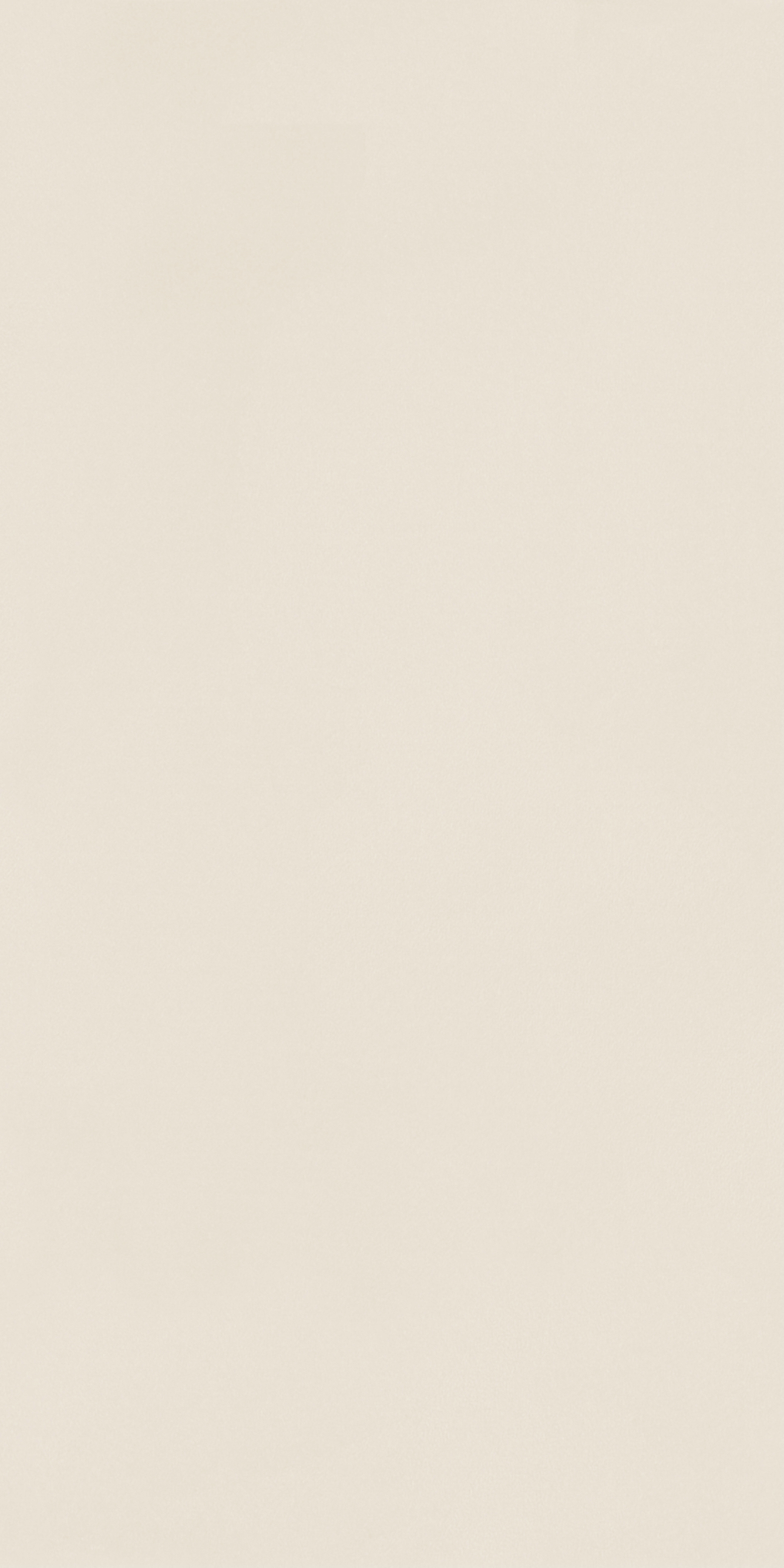 LJXB85812 薄纱米白产品图