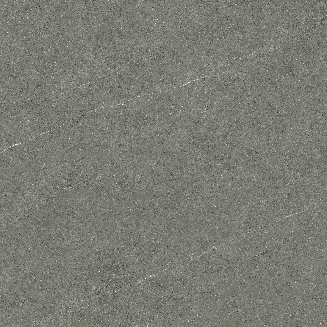 LK80YG526E 贝斯曼产品图