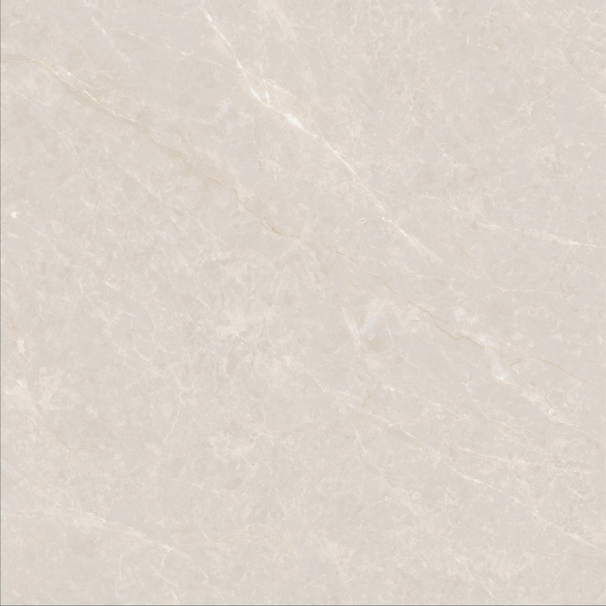 白玉兰 8DAP280T 产品图