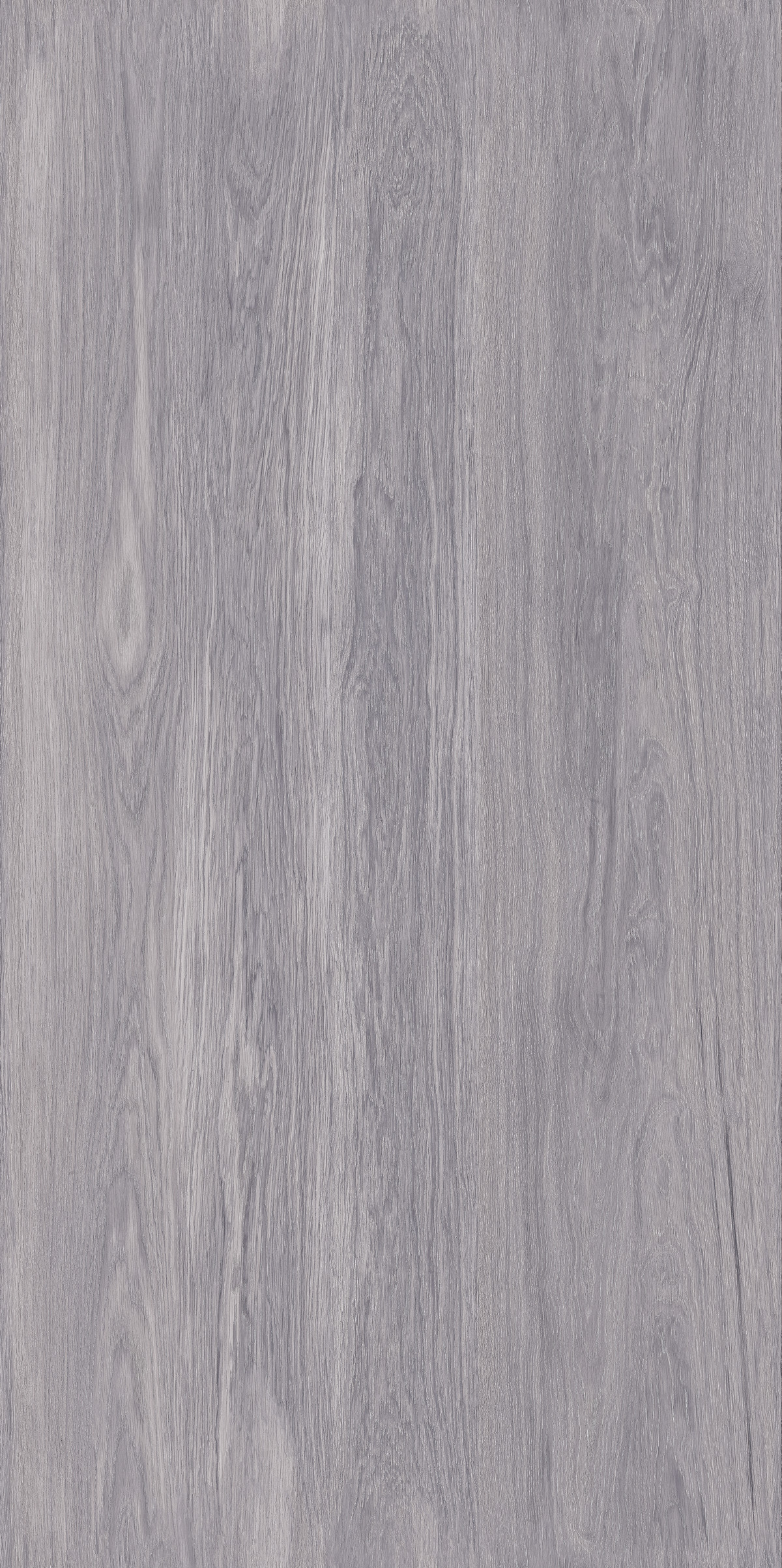 126FJR511C 瀚海杉木产品图